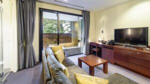 Sofa seating area facing balcony bath and television