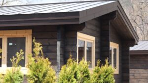 带窗户和灌木的木质小屋外观