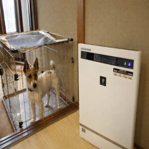 空気清浄機のそばのクレートに入った犬