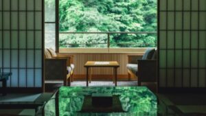 Seating area by window overlooking green forest