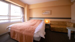 Letto accanto a un divano in una camera