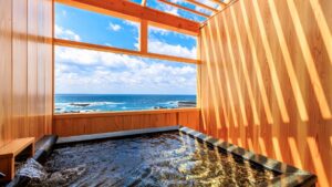 Salle de bain privée avec vue sur l’océan et murs en bois