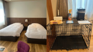 Lits jumeaux à côté d’une cage pour animal et des équipements de la chambre