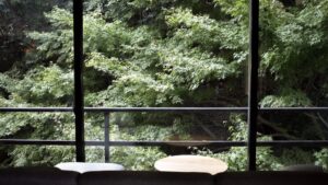 Forest view through large windows with a small table