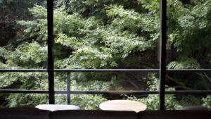 Forest view through large windows with small tables