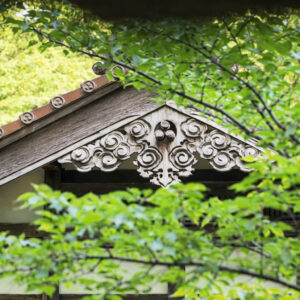 绿叶映衬下的精美屋顶细节