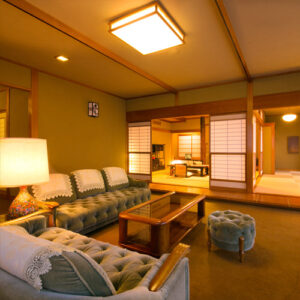 Living area with sofas and coffee table