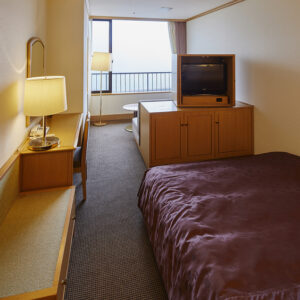 Bett im Gästezimmer mit Fernseher und Fenster
