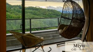 Hängesessel und Loungesessel am Fenster mit Ausblick