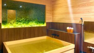 Bain privatif en bois avec fenêtre et douche