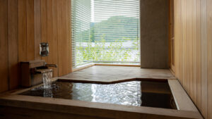 窗边可欣赏山景的私人室内浴池