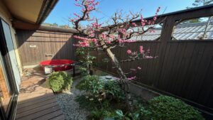 Private outdoor red bathtub in a small garden courtyard