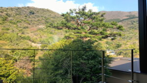 客室のバルコニーから望む山の景色