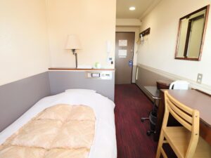 Single bed beside desk and chair in guest room
