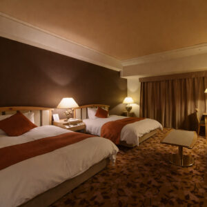 Lits jumeaux dans une chambre avec des lampes