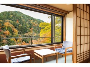 의자와 함께 보이는 객실 창문 너머 산림 전망