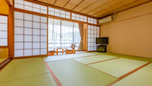 ローテーブル、椅子、テレビのある畳の客室