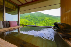 Privates Freiluftbad mit Bergblick