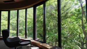 面向绿色森林的弧形窗边椅子