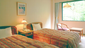 客房内窗边的两张床和一把椅子