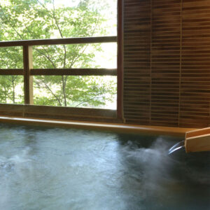 森林景观旁冒着热气的私人浴池