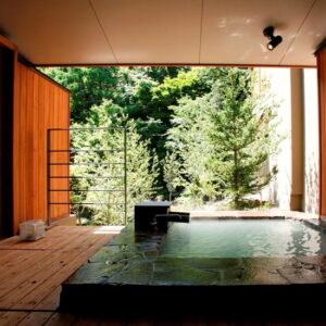 Bain privé en plein air avec vue sur la forêt