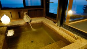 Bain privé près de fenêtres avec vue sur la mer