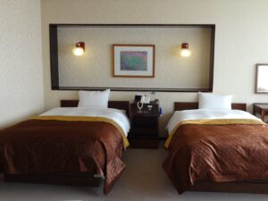 Two single beds with brown bedspreads