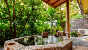 정원 녹음으로 둘러싸인 노천 석조탕