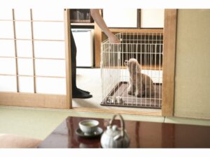 榻榻米房间里站在狗笼旁的人