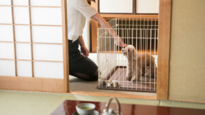 在房间门口抚摸狗的人