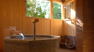 Private bath with shower beside windows