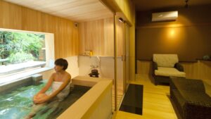 Private indoor bath beside seating area in guest room