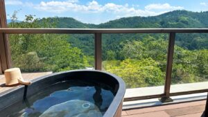 緑の山々を望む貸切露天風呂