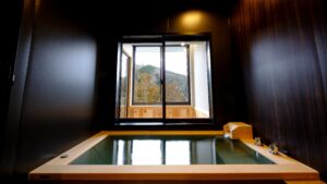 面向山景窗户的私人浴池