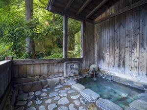 Bagno privato all’aperto in legno accanto alla camera