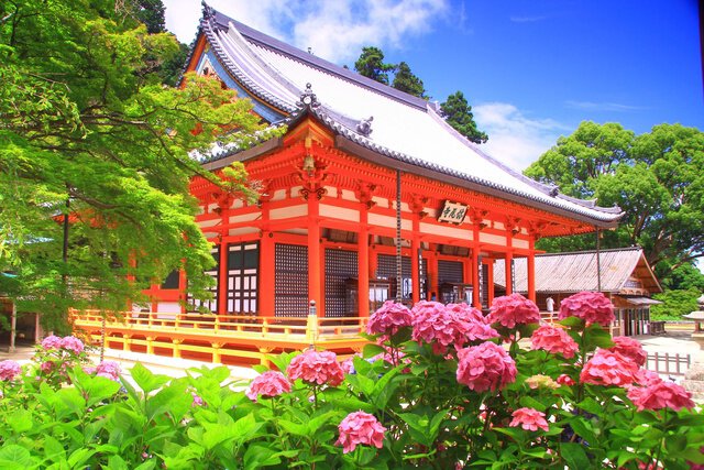 Katsuoji Temple Hydrangea Festival
