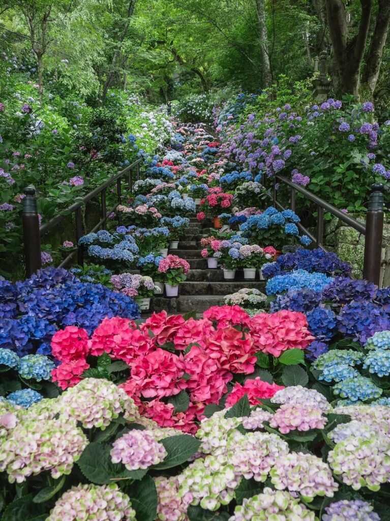 Hase-dera Temple, Kamakura