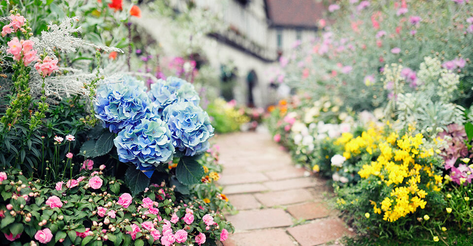 Kobe Nunobiki Herb Garden / Ropeway Hydrangeas
