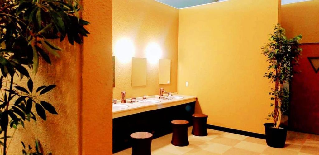 Daito Onsen Seatopia Washroom
