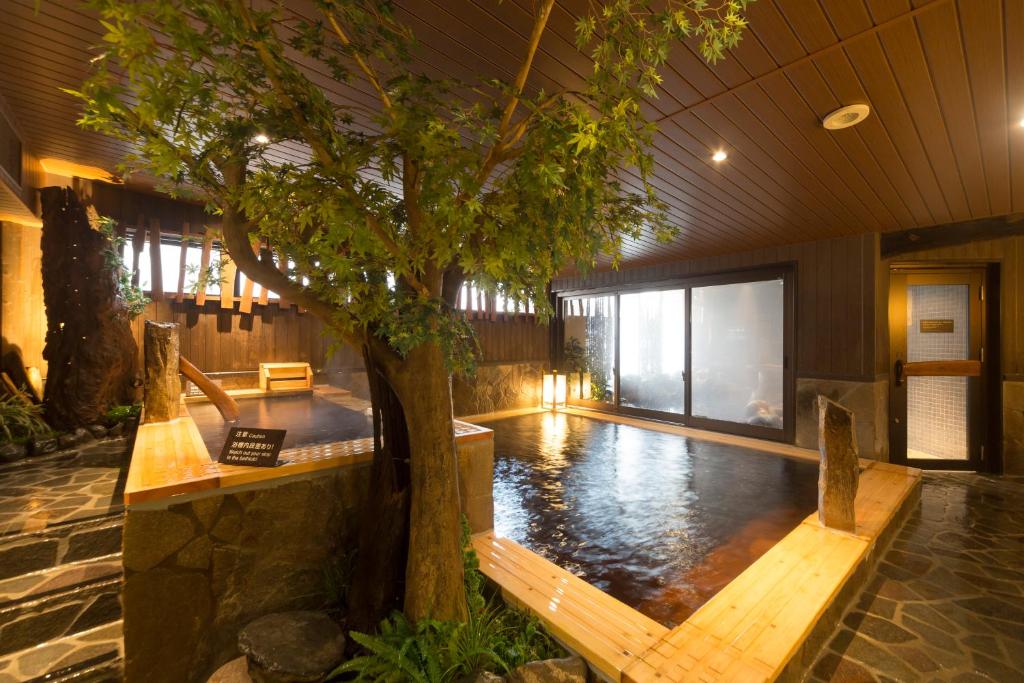 Dormy Inn Toyama Onsen Bath