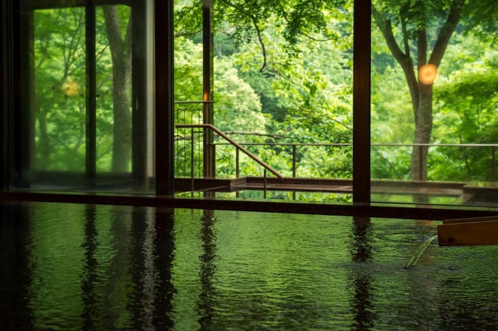 Fujiiso Forest View Onsen
