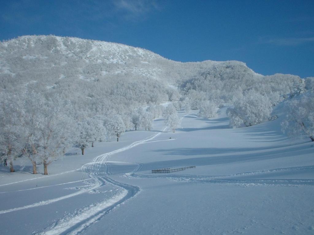 Fujiiso Snowy Mountain Landscape