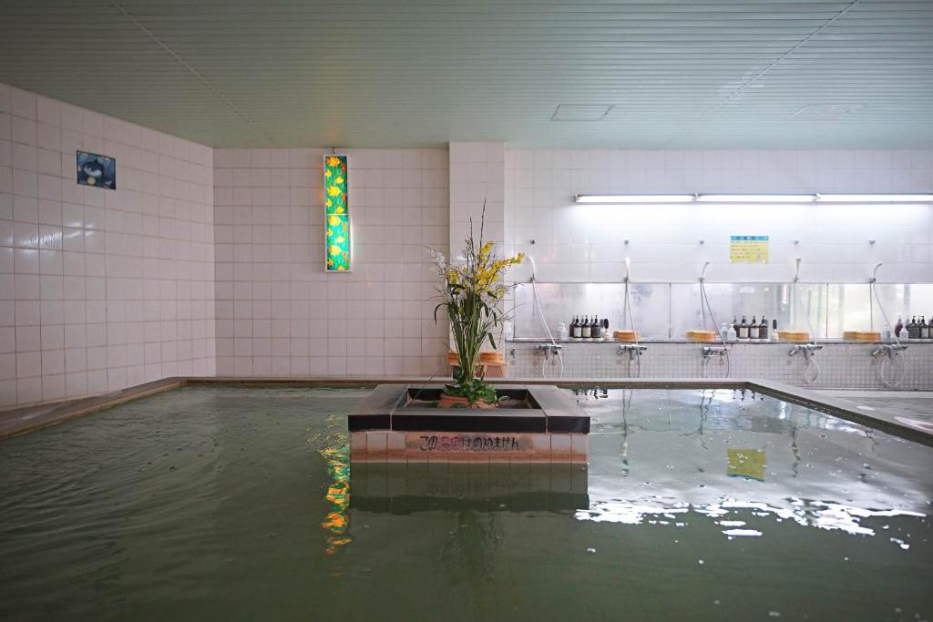 Grand Hotel Taiyo Indoor Onsen Bath