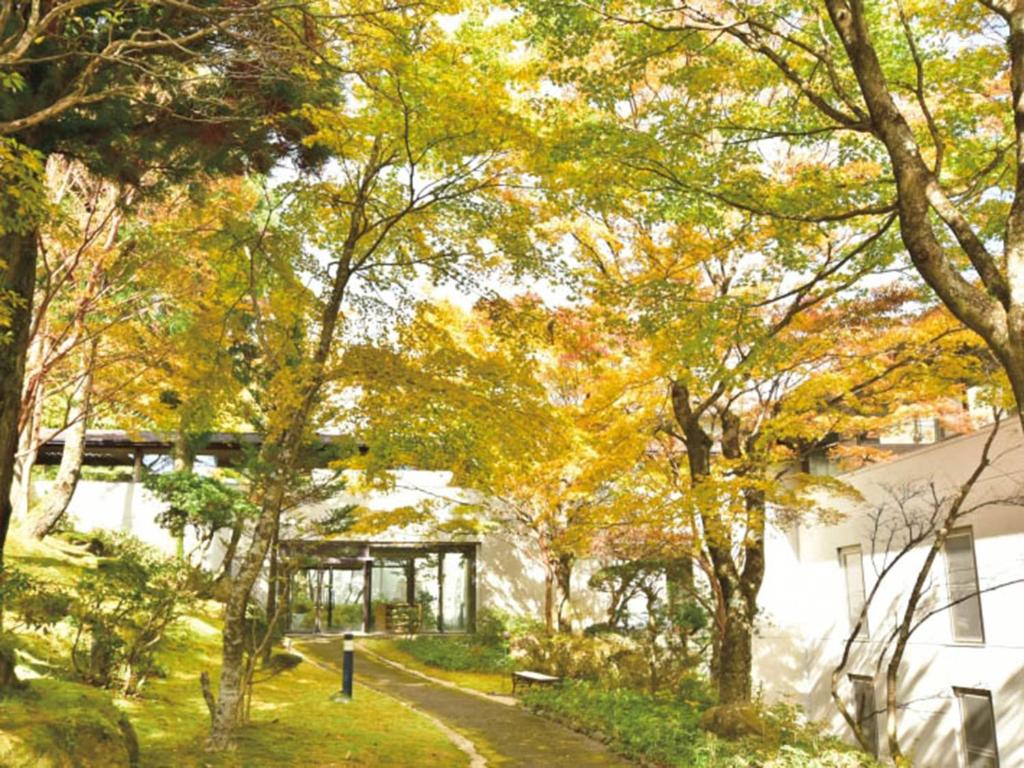 Hakone Yunohana Prince Hotel Autumn Garden Path