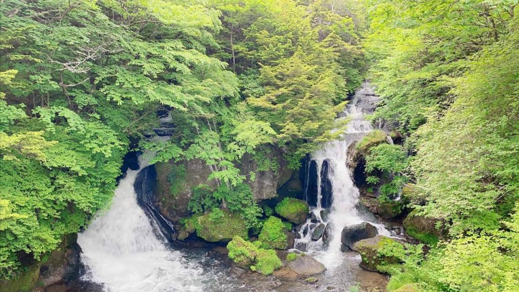 Hatago Nagomi Waterfall Forest