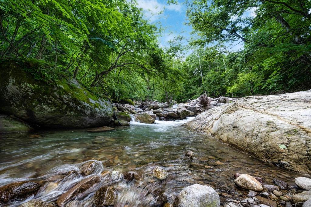 Hatcho No Yu Forest Stream