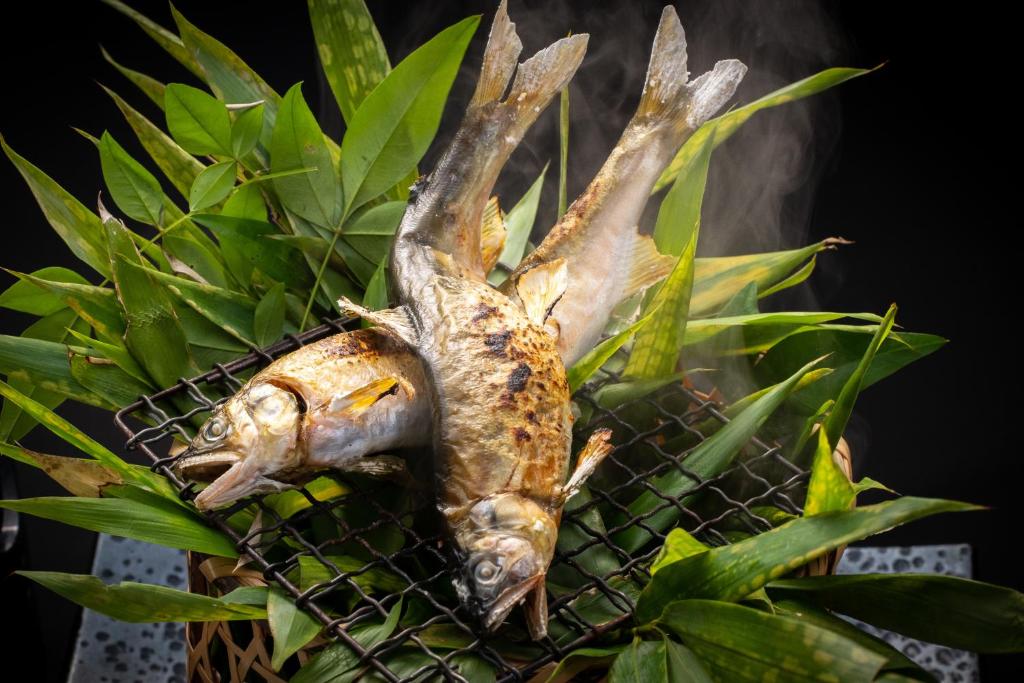 Hatcho No Yu Grilled Fish