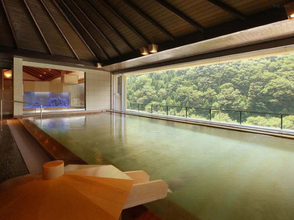 Hotel Hana No Yu Indoor Onsen
