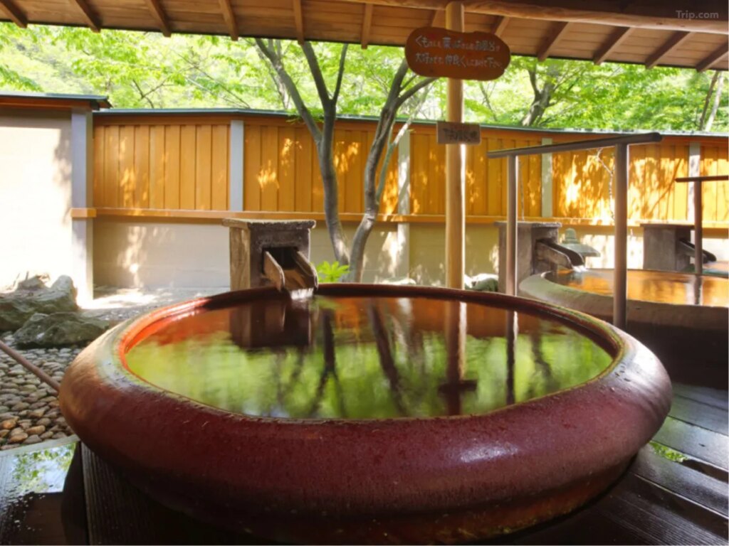 Hotel Hana No Yu Open Air Onsen